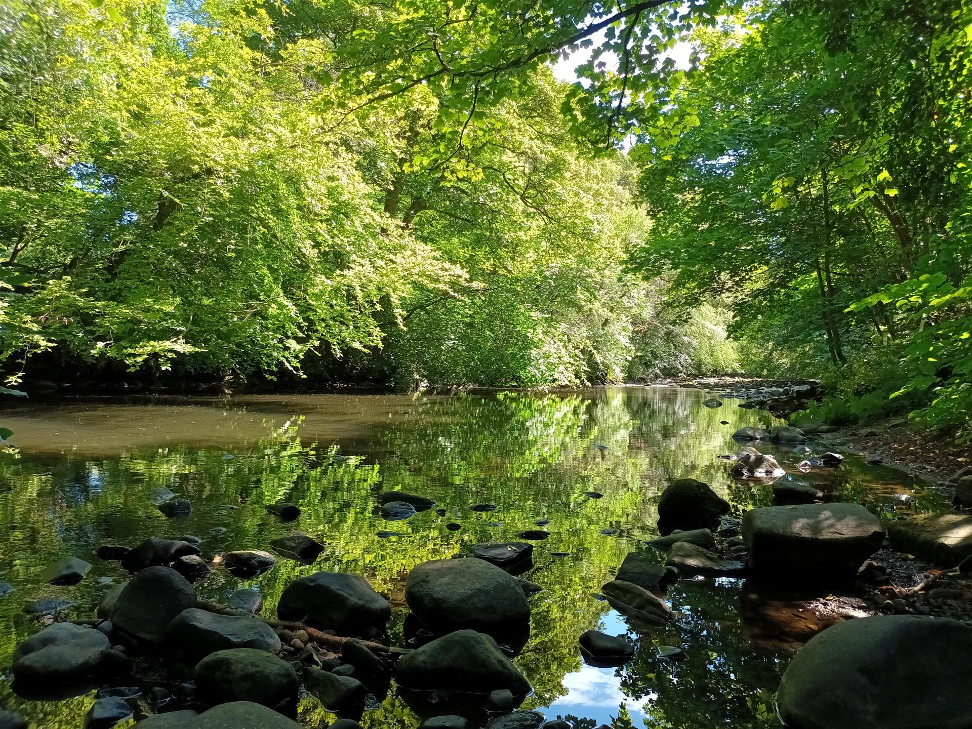 The River Avon at Muiravonside Country Park