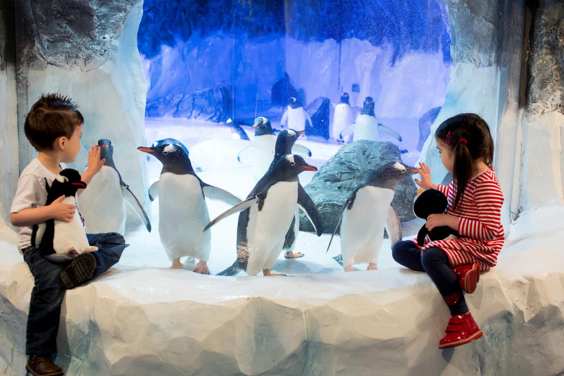 Picture of National Sea Life Centre Birmingham