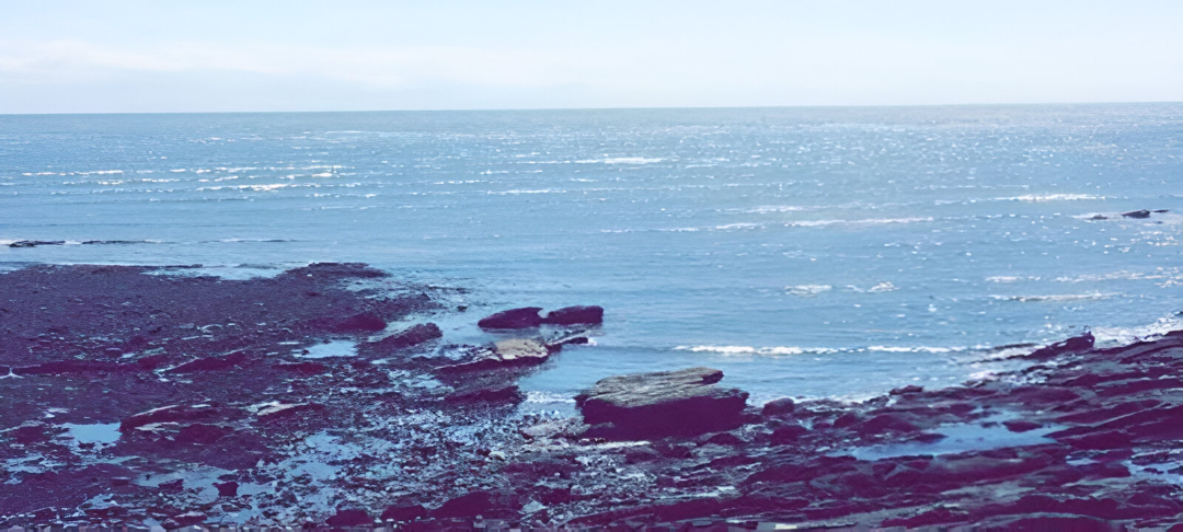 Picture of Arbroath Cliffs
