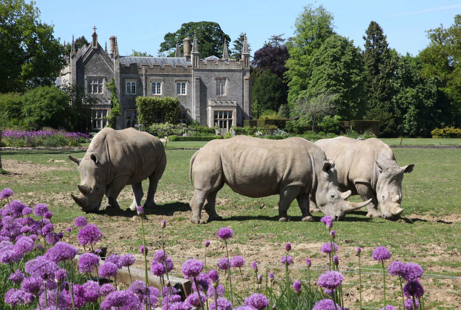 Picture of Cotswold Wildlife Park and Gardens