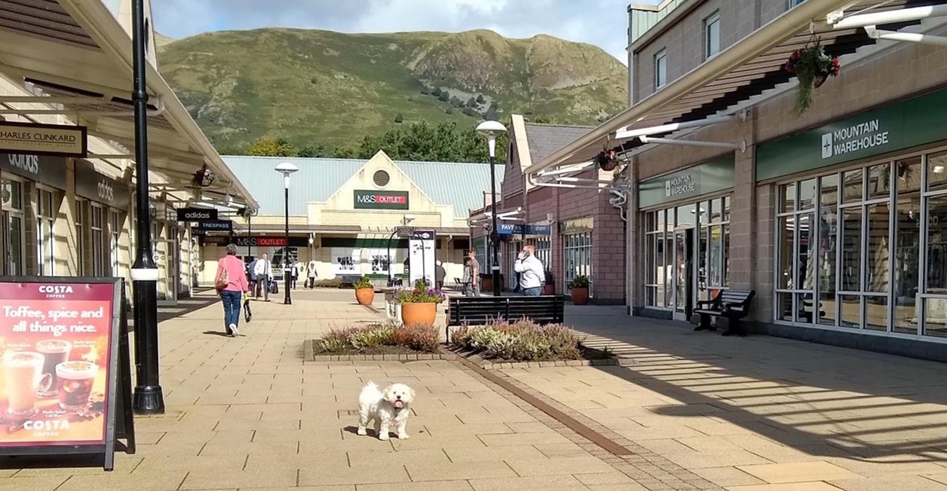 Dogs are welcome and the Ochil hills are a beautiful backdrop.