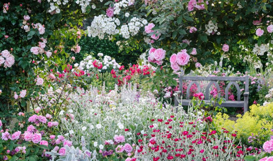 RHS Garden Rosemoor