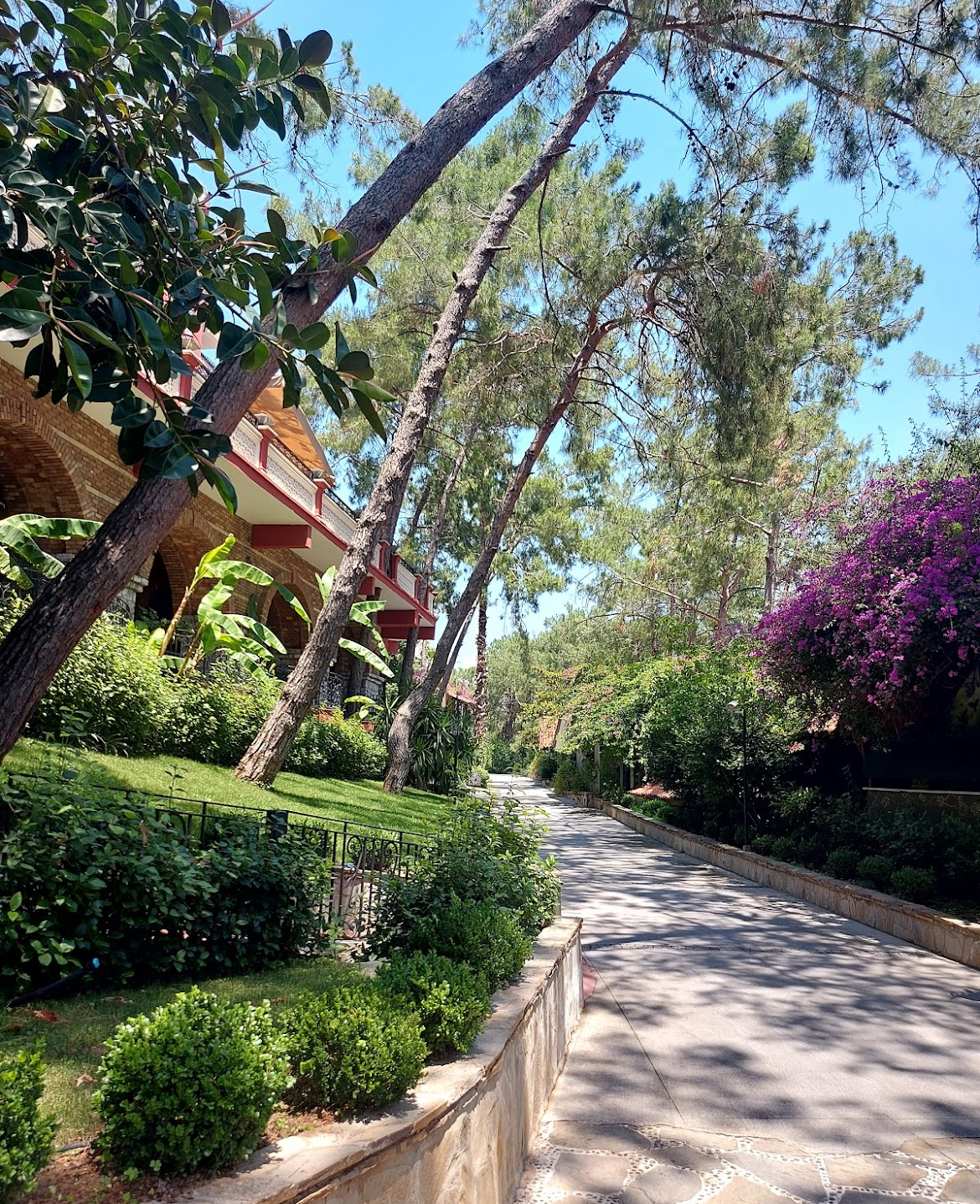 Image of Grand Yazıcı Club Marmaris Palace garden