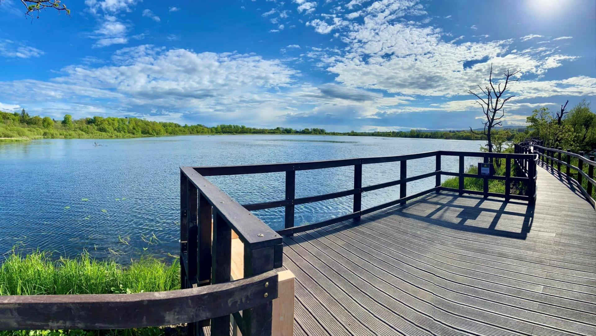 Boardwalk viewing platform