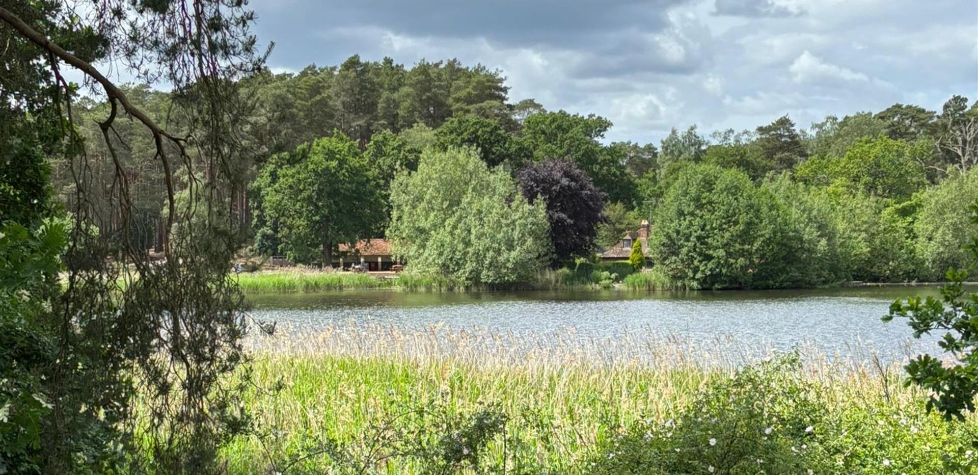 Image of a body of water in the countryside