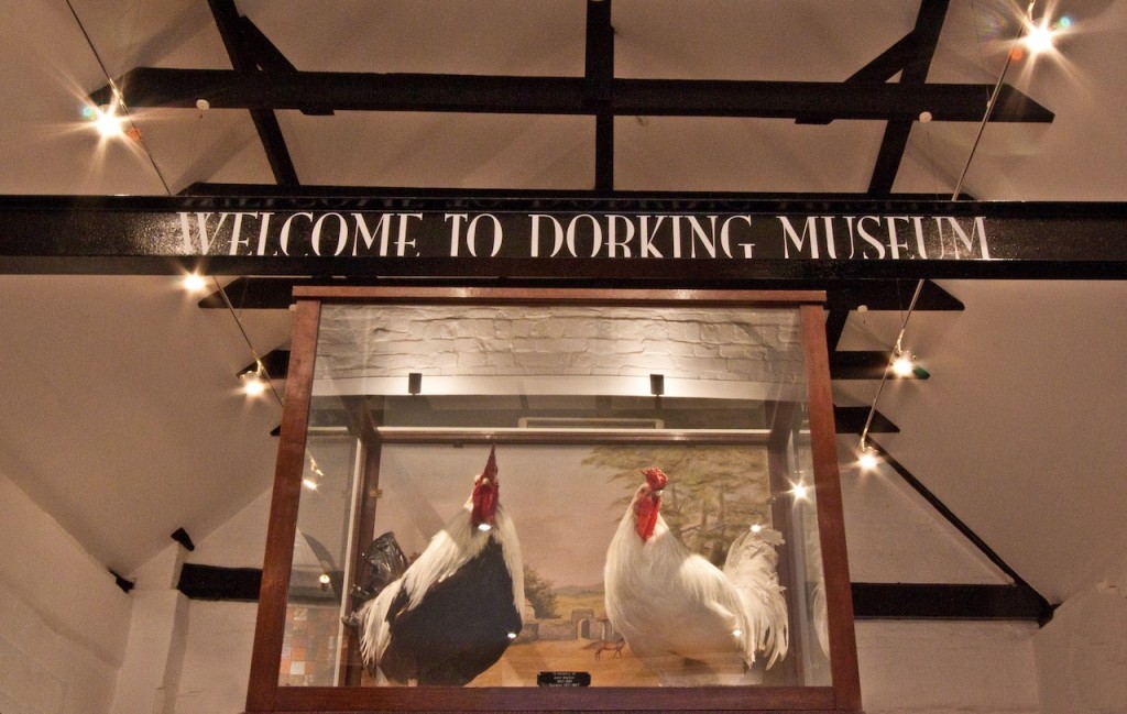 Picture of The Dorking Museum