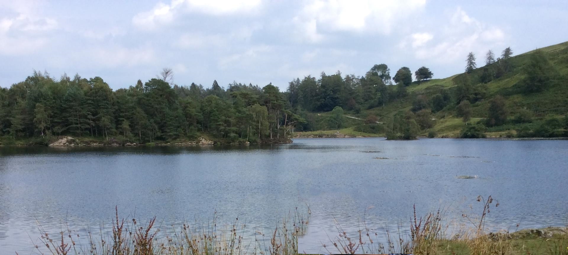 Picture of Tarn Hows