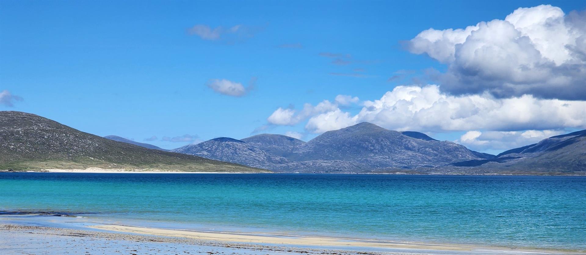 Image of a person on the beach