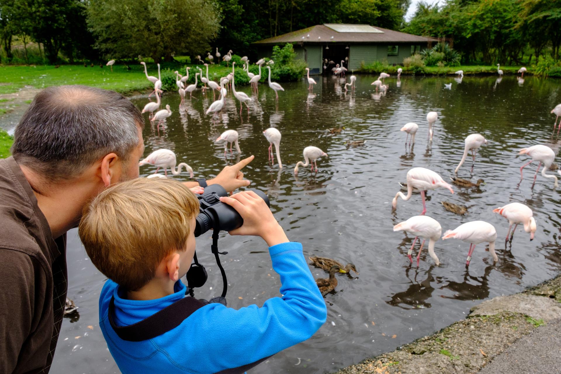 Get up close to hundreds of waterfowl species including flamingos, otters and white storks, all along accessible pathways.