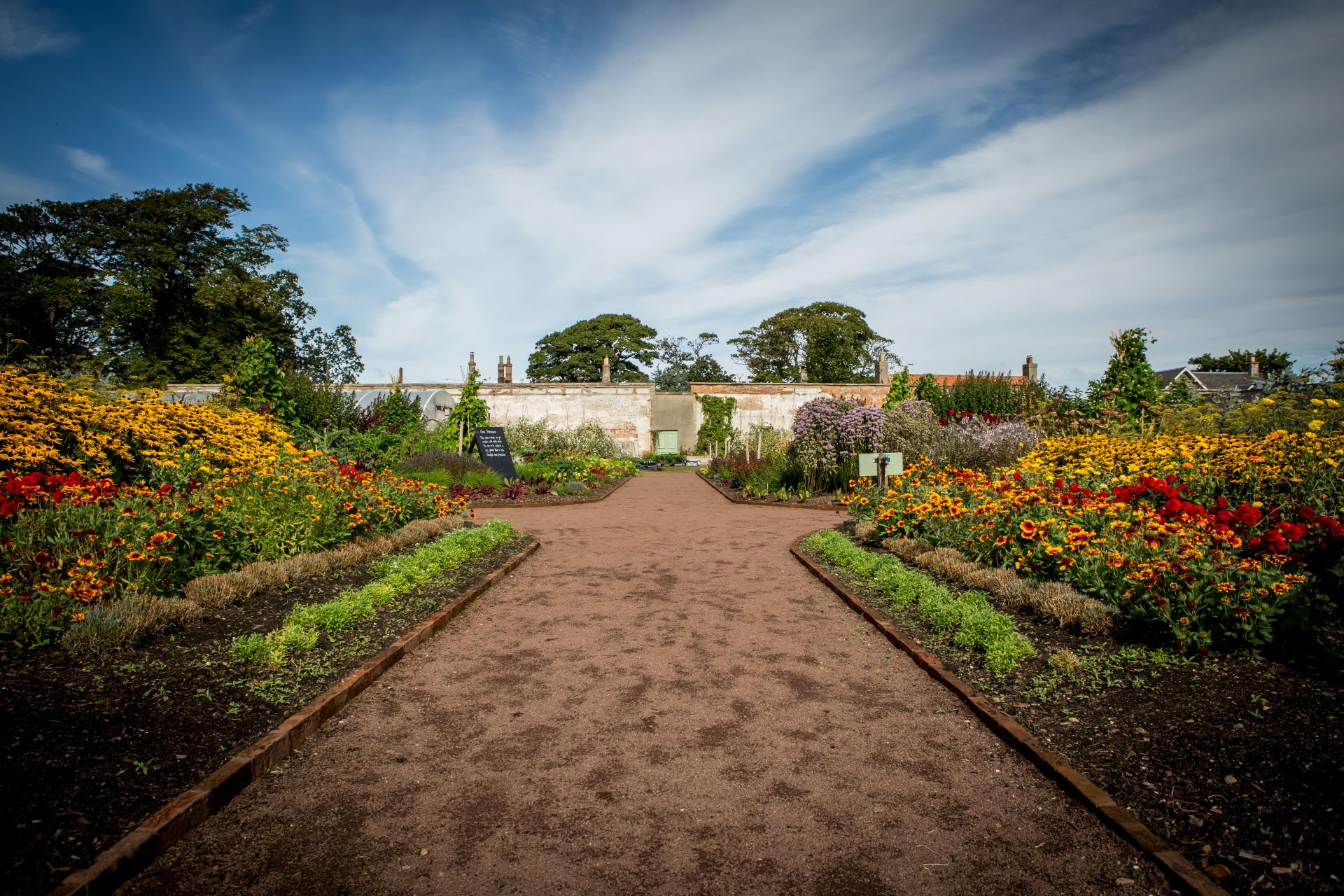 Garden with accessible pathways.