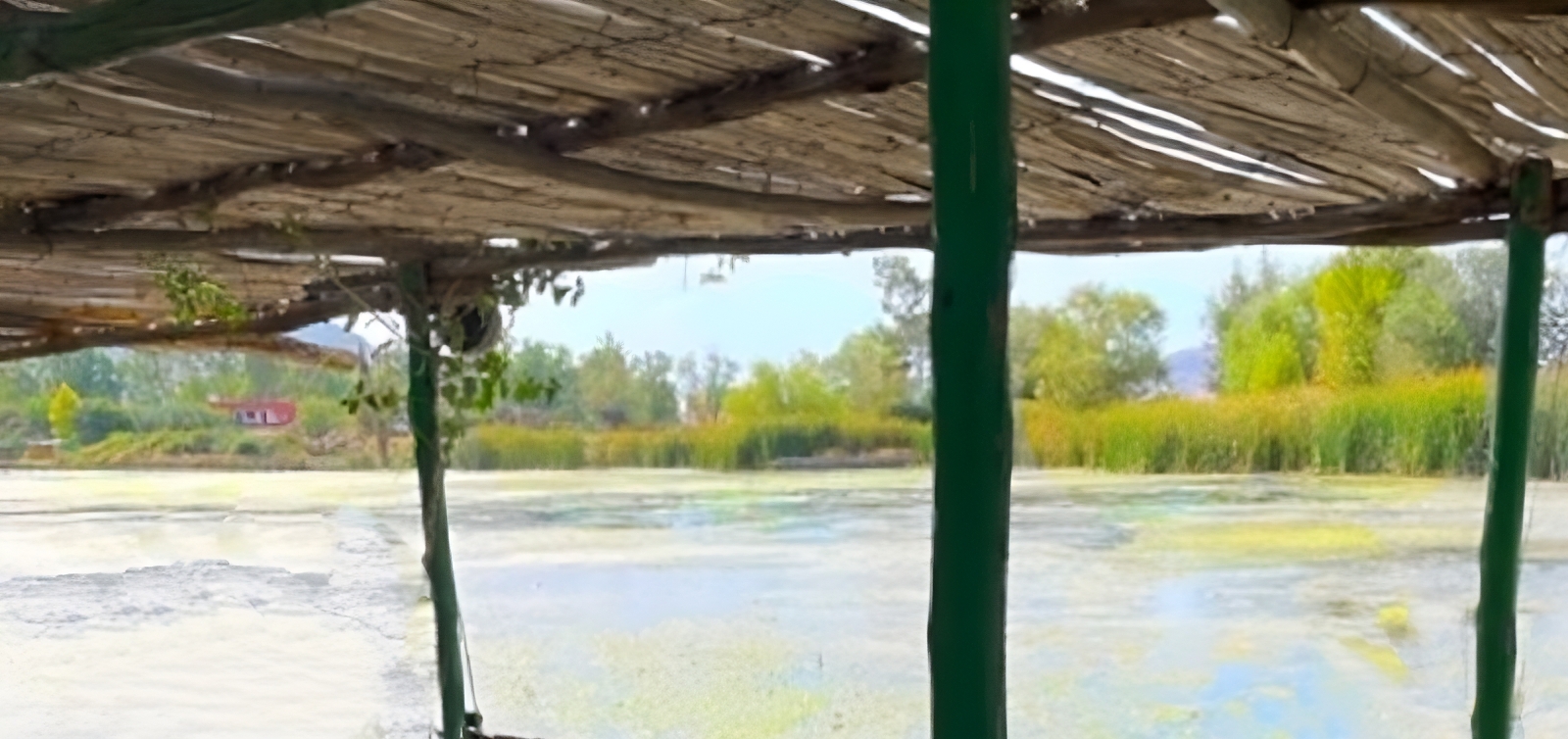 Picture of a lake under a bamboo awning with trees on the far bank