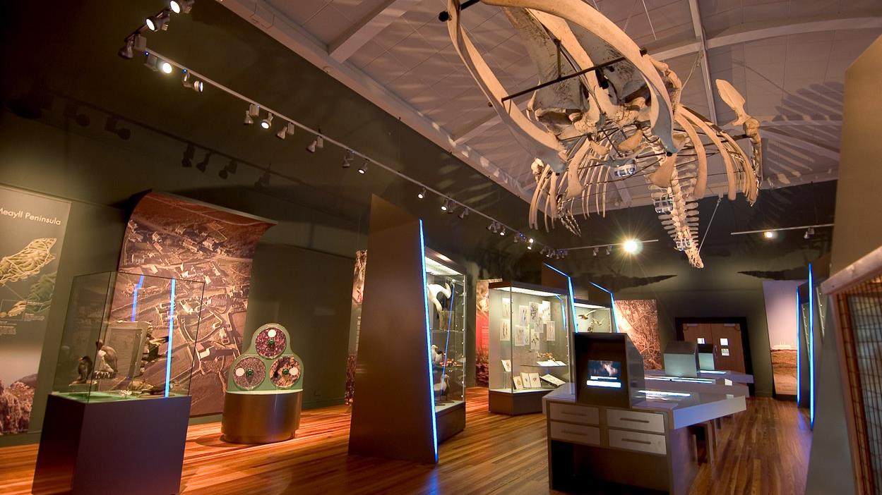 Picture of the Manx Museum - The Natural History Gallery