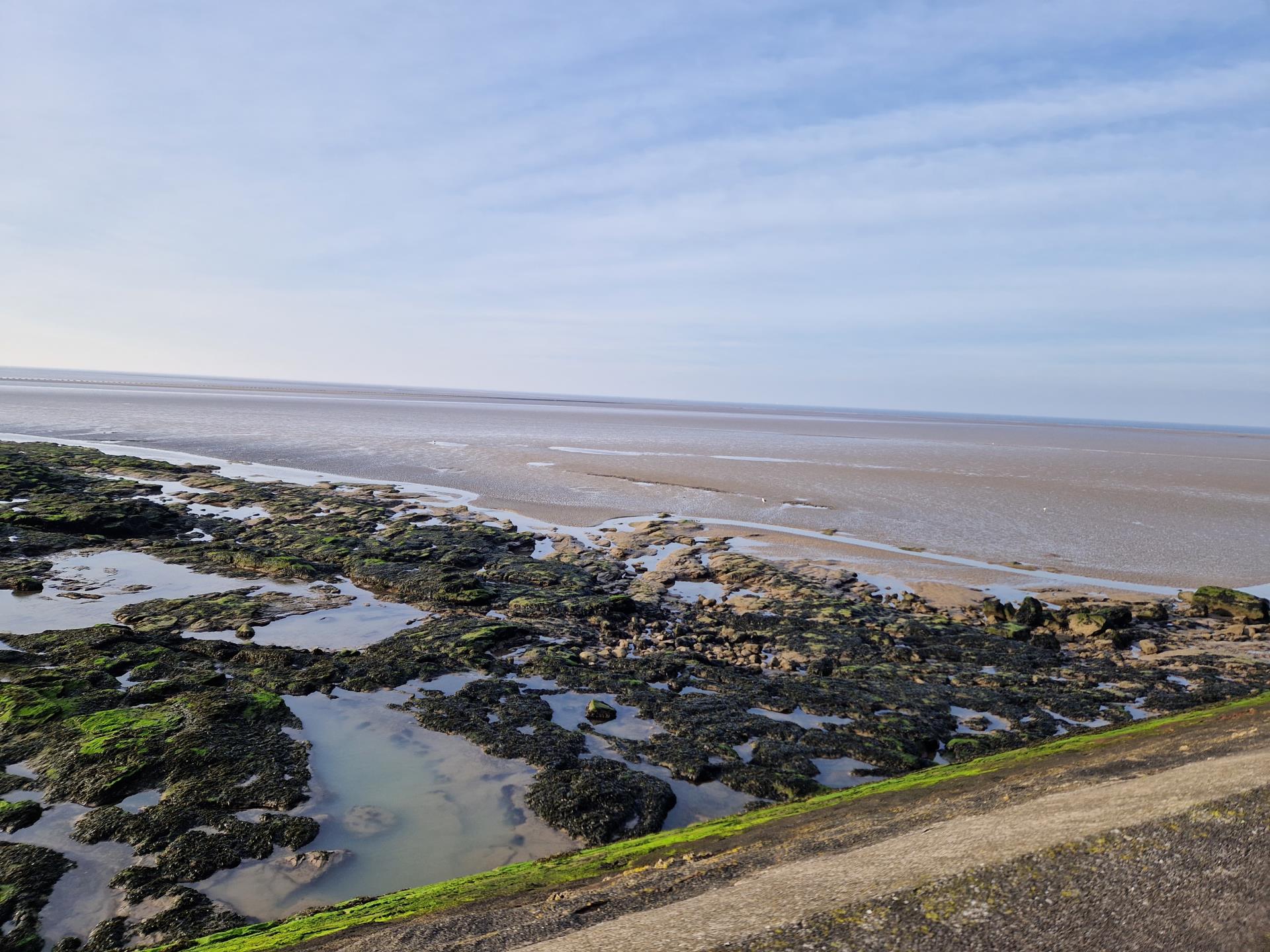 Heysham Nature Reserve