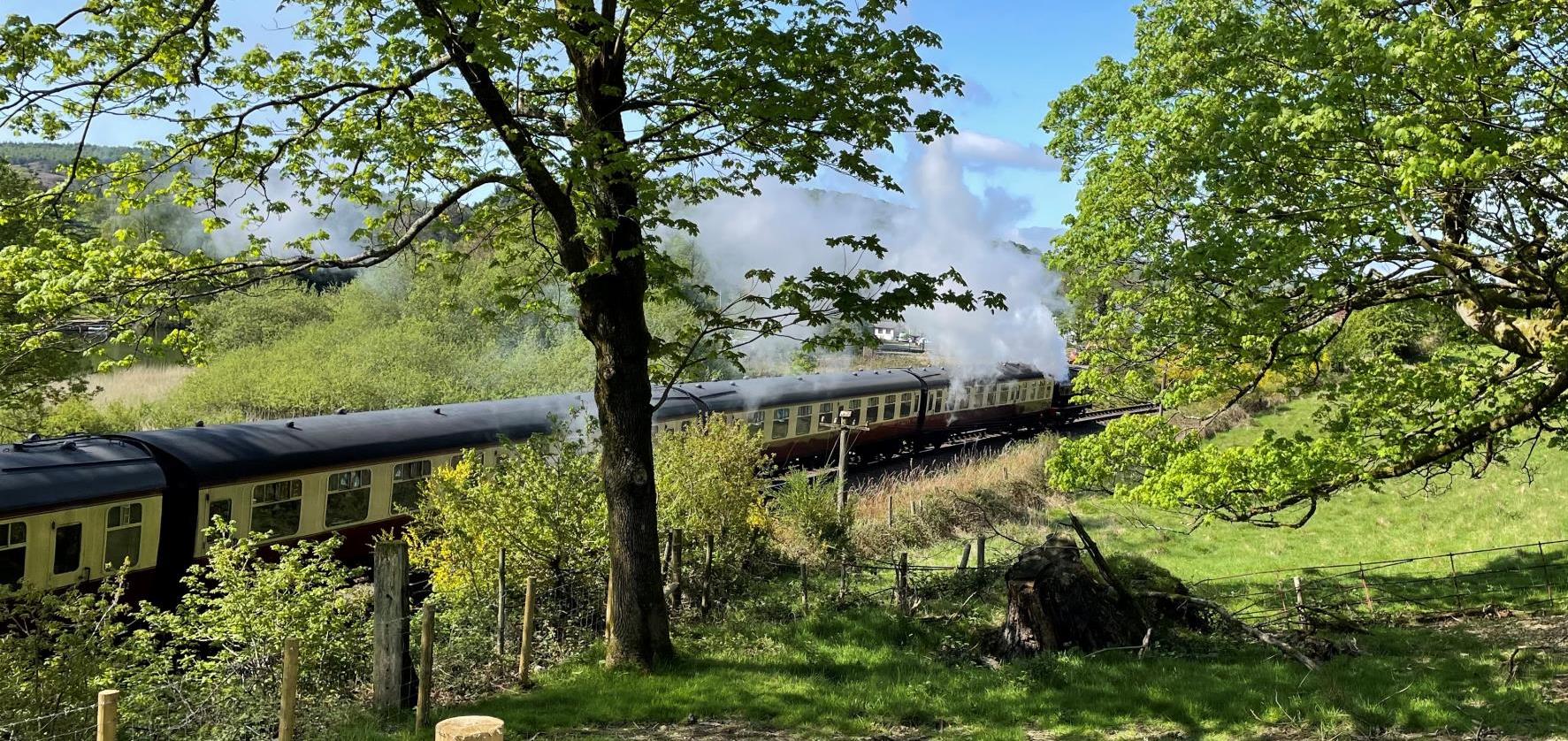 Picture of a train running adjacent to the path