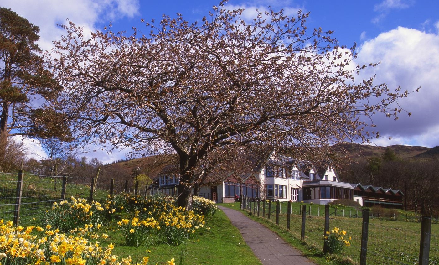 Picture of Loch Melfort Hotel
