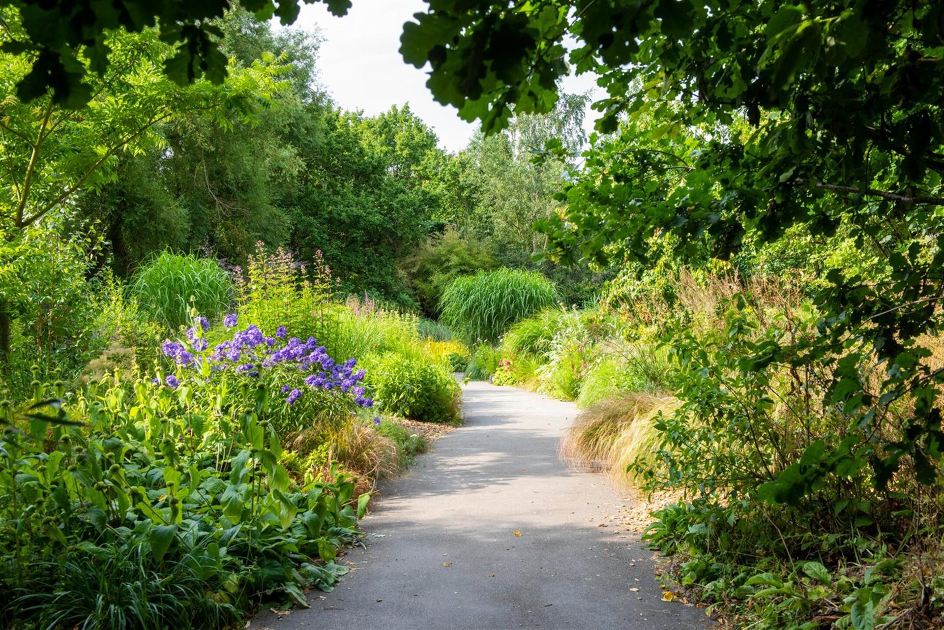 Image of a garden pathway