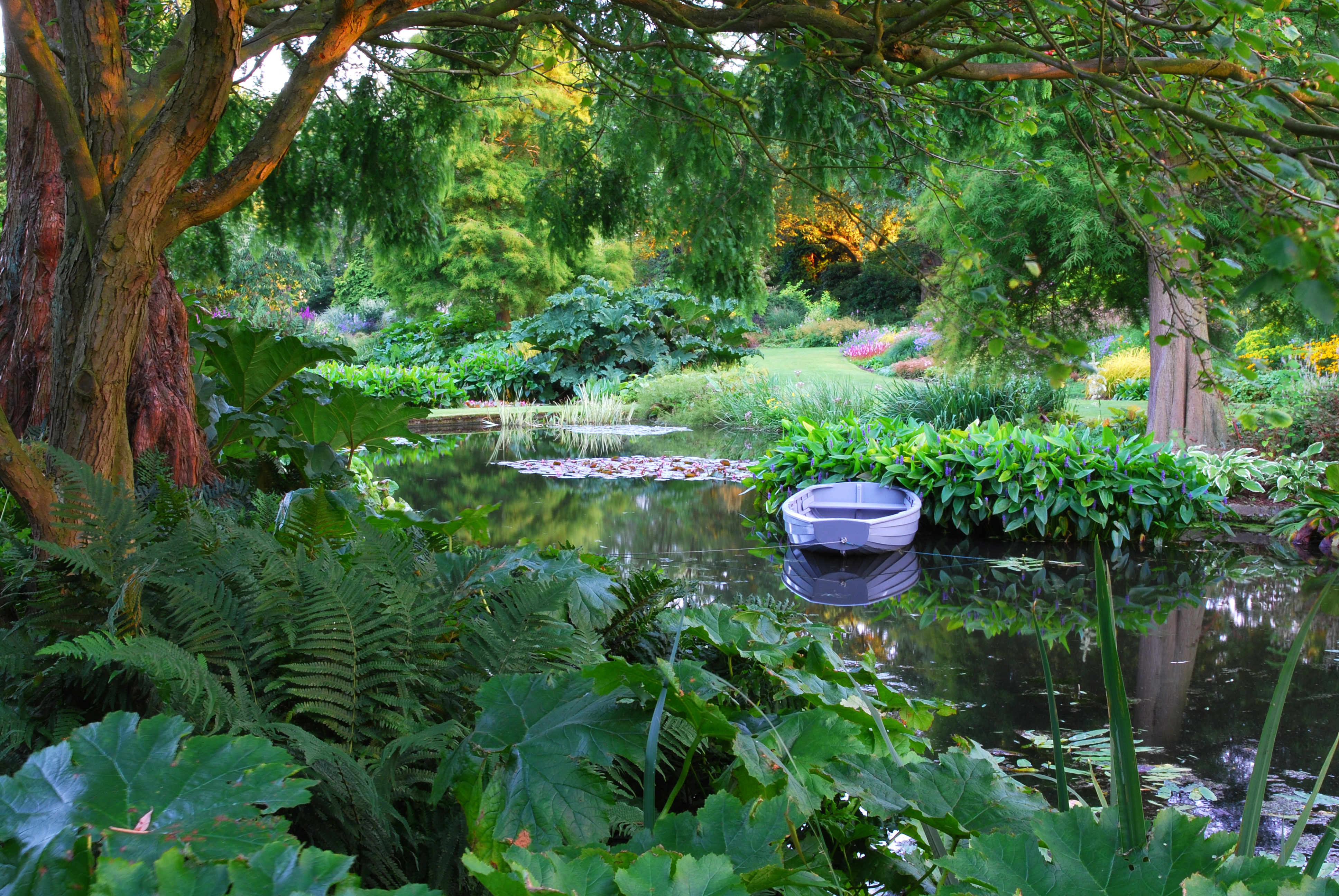 Picture of Beth Chatto Gardens - Water Garden