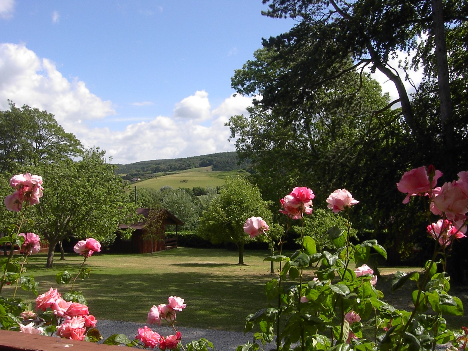 Picture of Woodcombe Lodges and Cottages