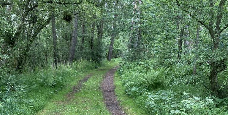 Image of RSPB Reserve Loch Spynie