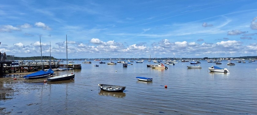 Image of boats in a harbor with boats