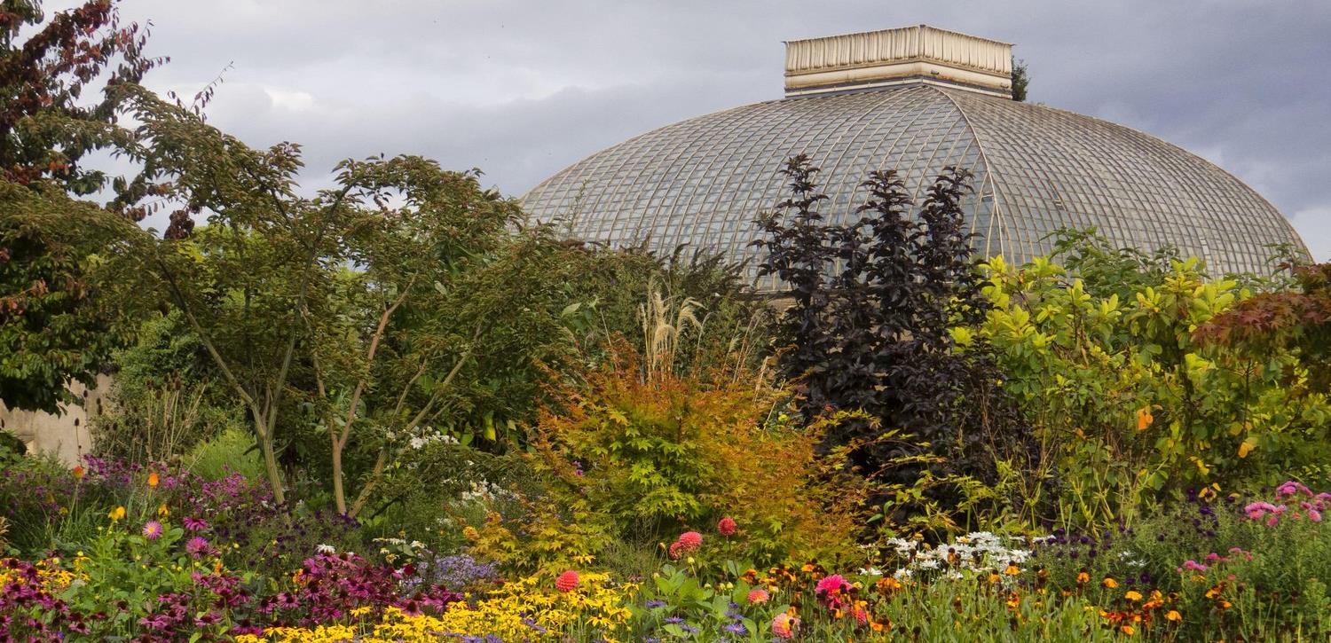 A view of the Autumn planting in the Four Seasons Garden behind the Pavilion.