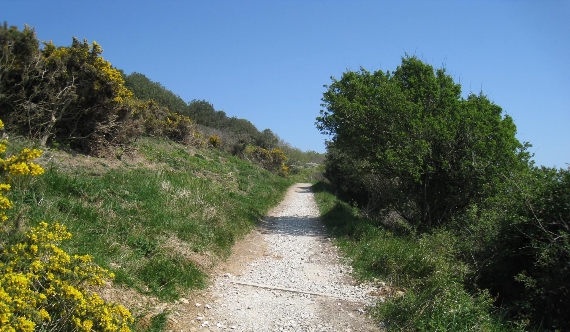 Picture of Durlston Country Park